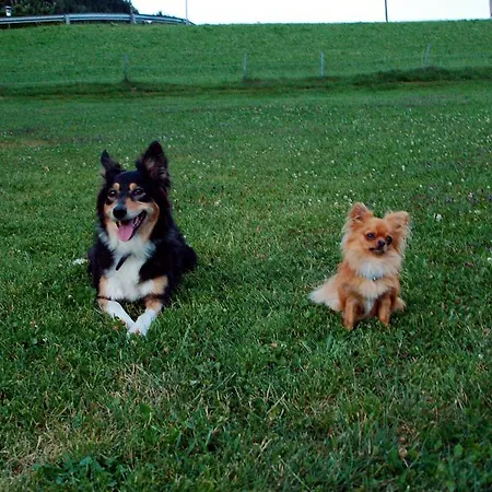 Πανσιόν Haus Gatterland