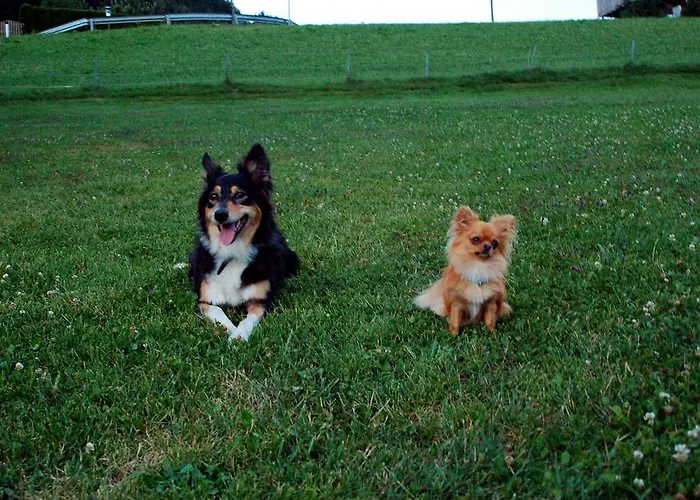 Gæstehus Haus Gatterland